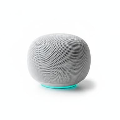 Google Home Speaker