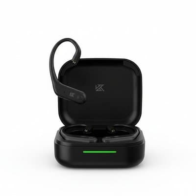 KZ AE01 Ear hookshooks