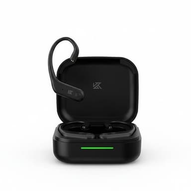 KZ AE01 Ear hookshooks