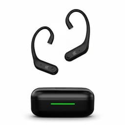 KZ AE01 Pro Ear hooks