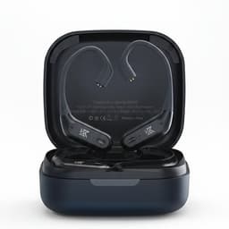 KZ AZ09 Pro Ear hooks
