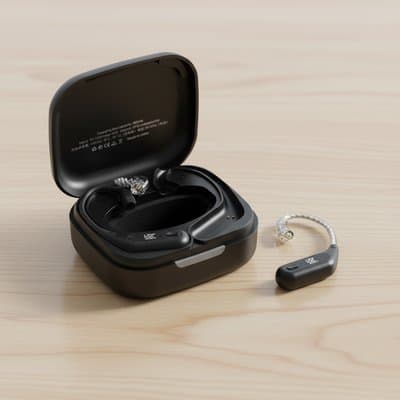 KZ AZ09 Pro Ear hooks: in_bag
