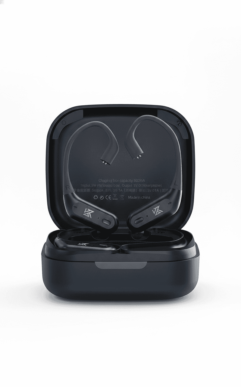 KZ AZ09 Pro Ear hooks: front